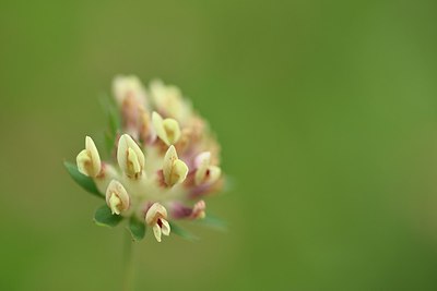 BUITEN BEELD Foto: 236674
