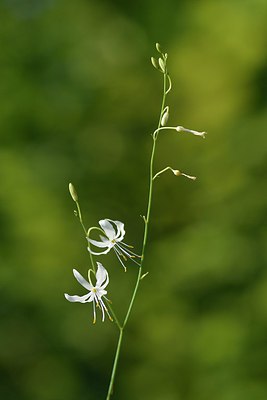 BUITEN BEELD Foto: 236686
