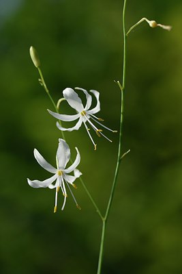 BUITEN BEELD Foto: 236687