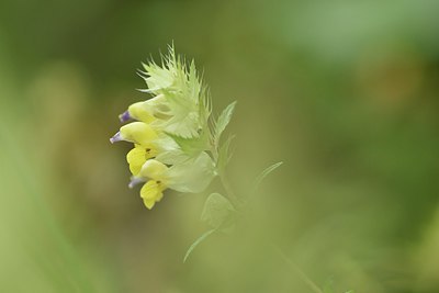 BUITEN BEELD Foto: 236750