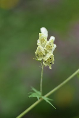 BUITEN BEELD Foto: 236755