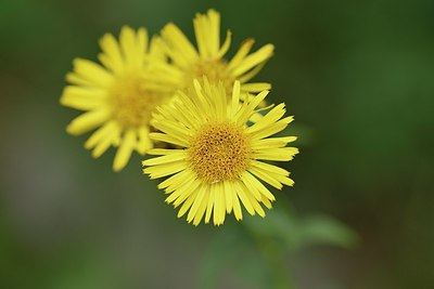 BUITEN BEELD Foto: 236774