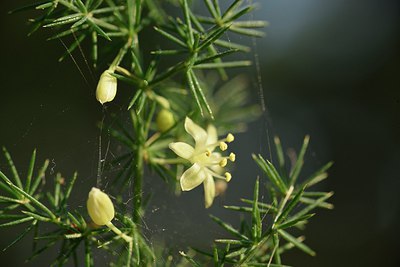 BUITEN BEELD Foto: 236783