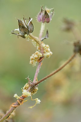 BUITEN BEELD Foto: 236788