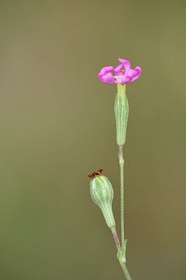 BUITEN BEELD Foto: 236823