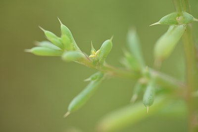 BUITEN BEELD Foto: 236826