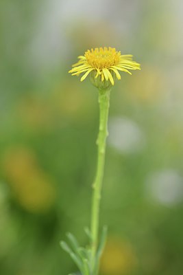 BUITEN BEELD Foto: 236843