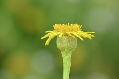 BUITEN BEELD Foto: 236844