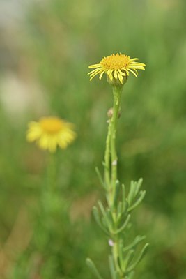 BUITEN BEELD Foto: 236845
