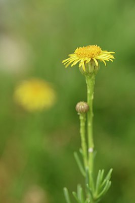 BUITEN BEELD Foto: 236846