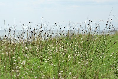 BUITEN BEELD Foto: 236857