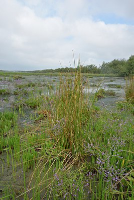 BUITEN BEELD Foto: 236893