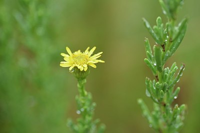 BUITEN BEELD Foto: 236915