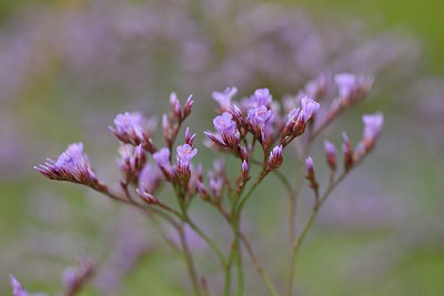 BUITEN BEELD Foto: 236924