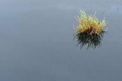 BUITEN BEELD Foto: 236925