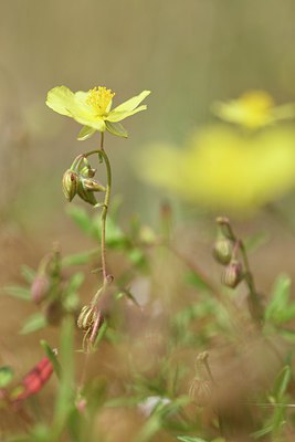 BUITEN BEELD Foto: 237041