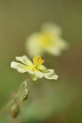 BUITEN BEELD Foto: 237042
