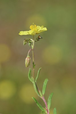 BUITEN BEELD Foto: 237045