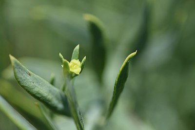 BUITEN BEELD Foto: 237185
