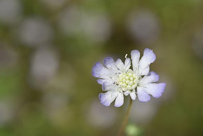 BUITEN BEELD Foto: 237189