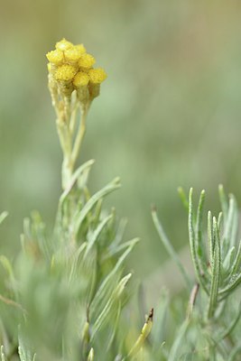 BUITEN BEELD Foto: 237244