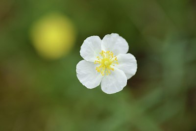 BUITEN BEELD Foto: 237252