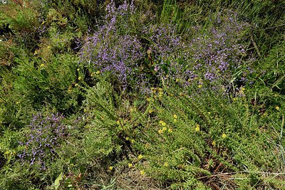 BUITEN BEELD Foto: 237309