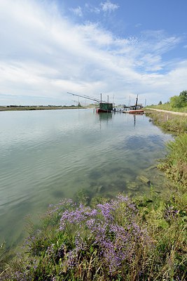 BUITEN BEELD Foto: 237310