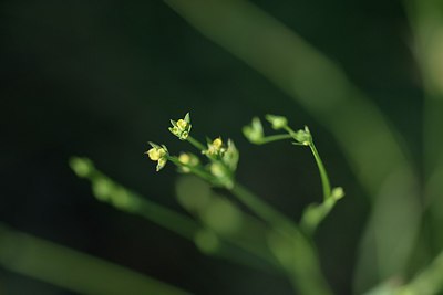 BUITEN BEELD Foto: 237328