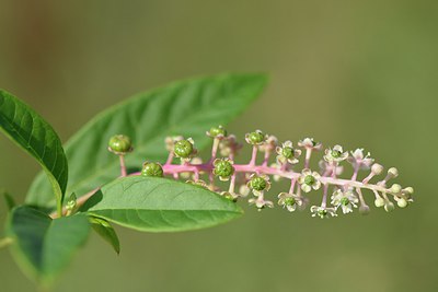 BUITEN BEELD Foto: 237347