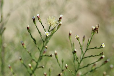 BUITEN BEELD Foto: 237363