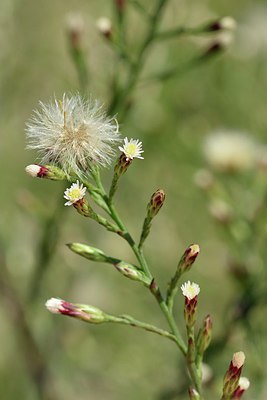 BUITEN BEELD Foto: 237364