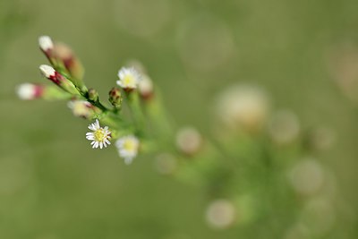 BUITEN BEELD Foto: 237365