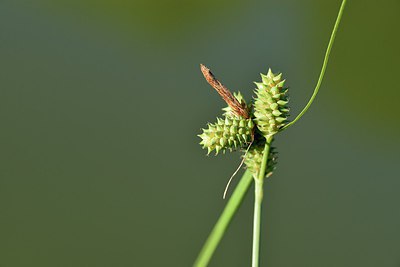 BUITEN BEELD Foto: 237394