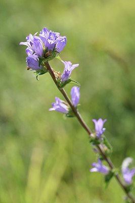 BUITEN BEELD Foto: 237416