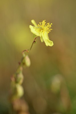 BUITEN BEELD Foto: 237477
