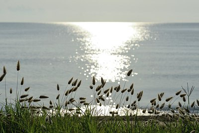 BUITEN BEELD Foto: 237483