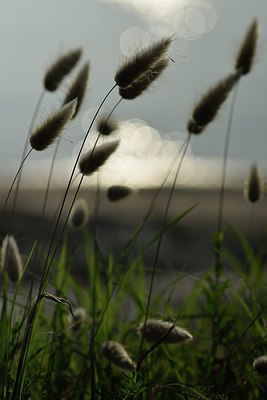 BUITEN BEELD Foto: 237485