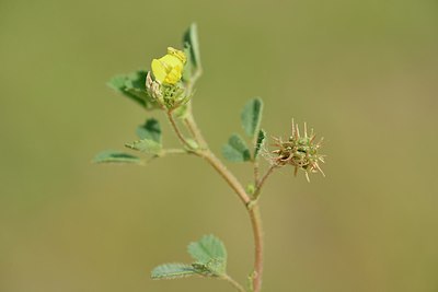 BUITEN BEELD Foto: 237504