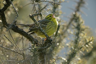 BUITEN BEELD Foto: 237522