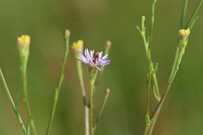 BUITEN BEELD Foto: 237568