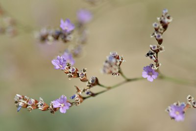 BUITEN BEELD Foto: 237578