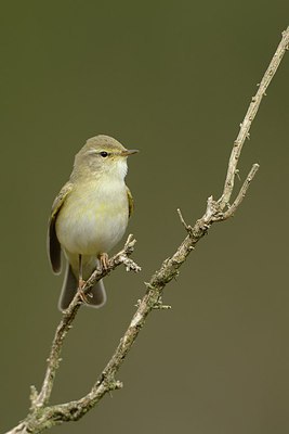 BUITEN BEELD Foto: 237612