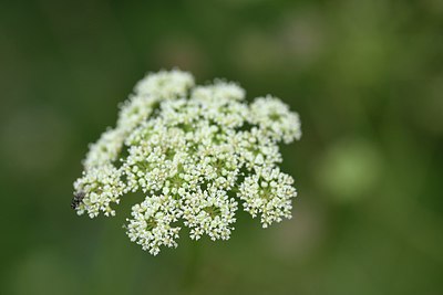 BUITEN BEELD Foto: 237663