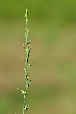 BUITEN BEELD Foto: 237679