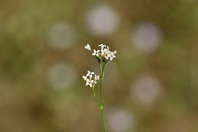BUITEN BEELD Foto: 237683