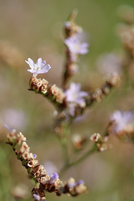 BUITEN BEELD Foto: 237721