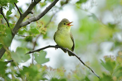 BUITEN BEELD Foto: 237793