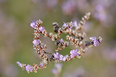 BUITEN BEELD Foto: 237800