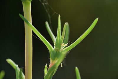 BUITEN BEELD Foto: 237811